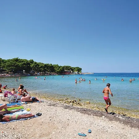 In With Wifi ペトルチャネ